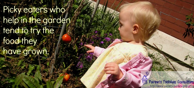 Picky eaters who help in the garden tend to try the food they have grown